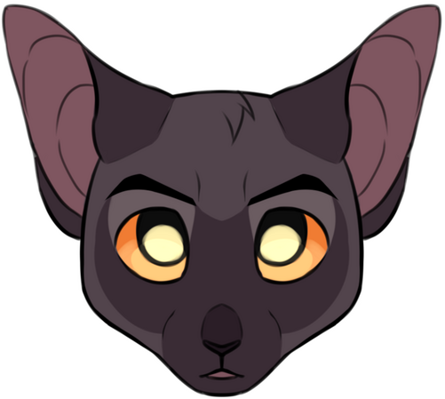 symmetrical icon $5 USD